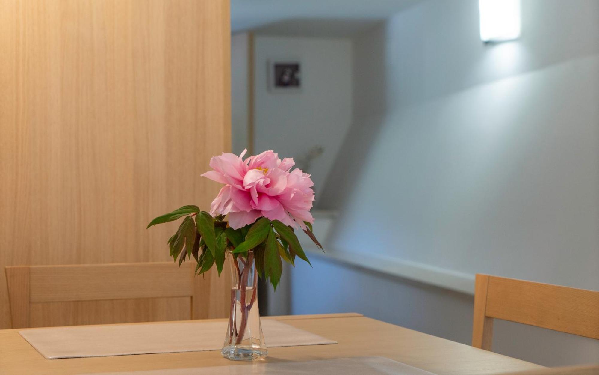 Lila Apartment Cres